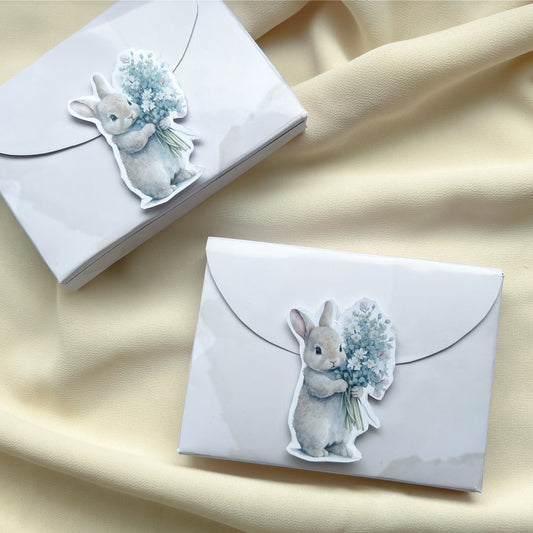 Mini Boîte enveloppe